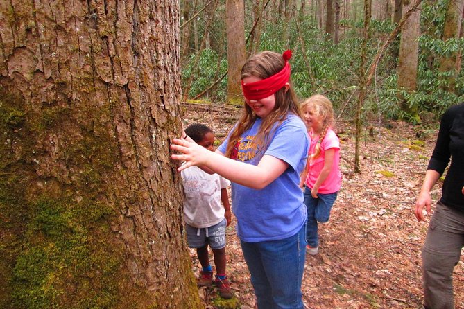 Sharing Nature with Children - Price and value: where the $55 goes